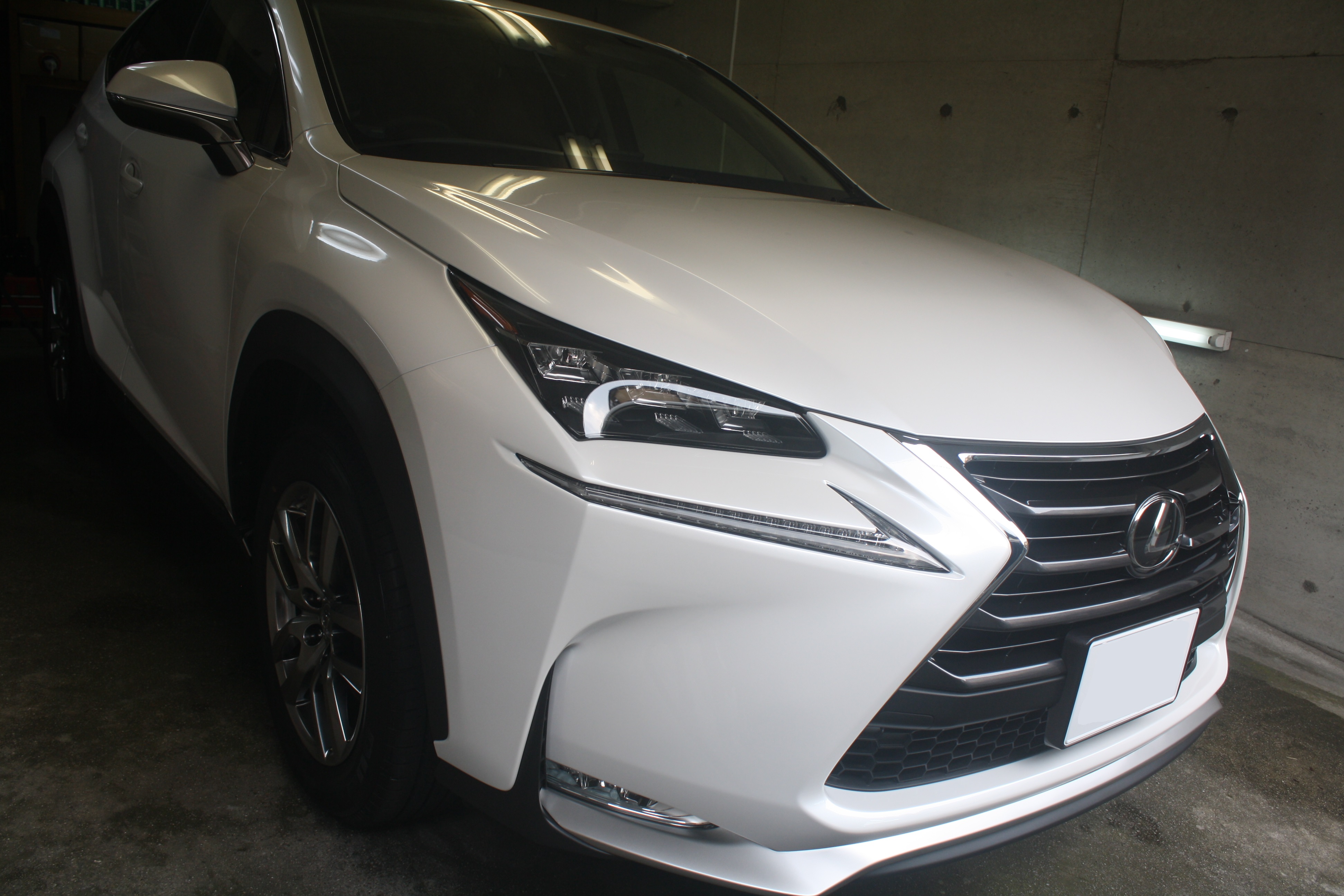 キューブにガラスコーティングスタンダード